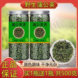 蒲公英根和叶新鲜(叶新鲜)泡水喝茶叶罐装，免洗无杂质炒制浦公荚