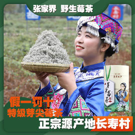 莓茶张家界特级野生嫩芽茶龙须霉茶嫩芽藤茶湖南永顺土家莓茶