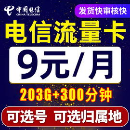 电信流量卡纯流量上网卡无线限流量卡5g手机卡电话卡湖南湖北广东