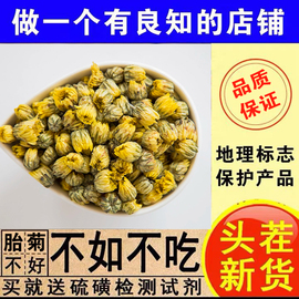 诺真良品▎正宗头茬桐乡胎菊王特级(王，特级)杭白菊头采菊花茶杭菊50g