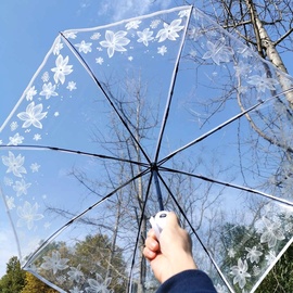 透明雨伞女折叠生如夏花白色，女神网红伞森系创意学生全自动透明伞