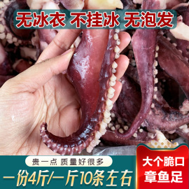 新鲜冷冻脆口无冰衣大个章鱼，足鱿鱼须八爪鱼须海鲜烧烤食材4斤箱