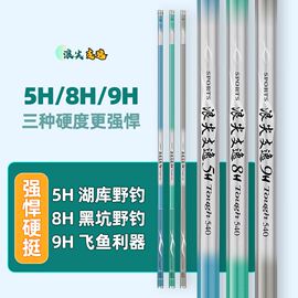 浪尖支逸鱼竿超轻超硬19调，28调长节碳素，台钓竿鲫鱼杆手竿渔具套装