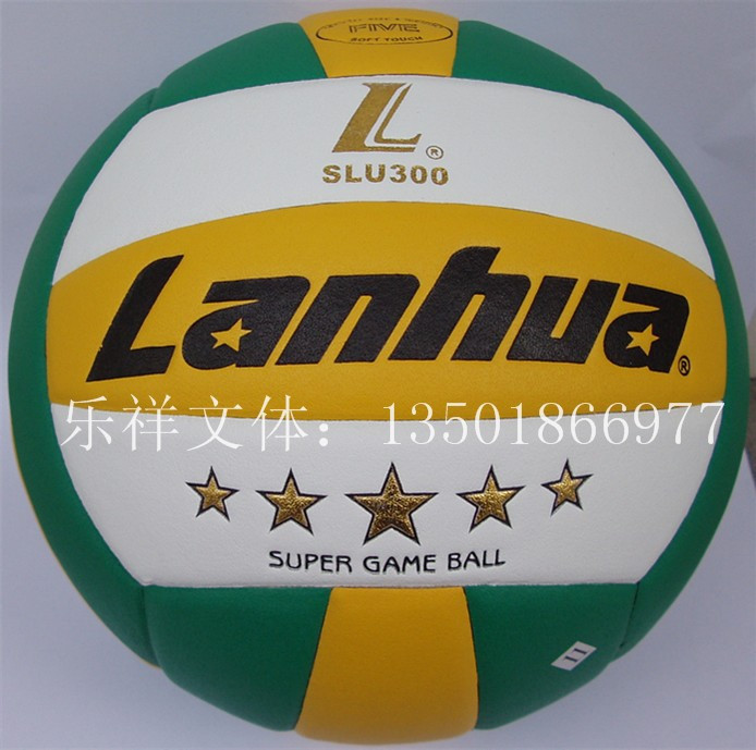 Ballon de volley - Ref 2011058 Image 1