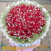 南岸区花店 渝北区花店 大渡口区花店 沙坪坝花店 重庆鲜花店