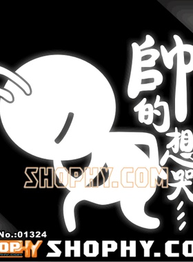 汽车踏板车贴纸3M反光贴01324帅的想哭