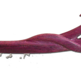 可刻字 紫罗兰木雕发簪子-玫瑰花 紫色木发簪【陆氏红木】