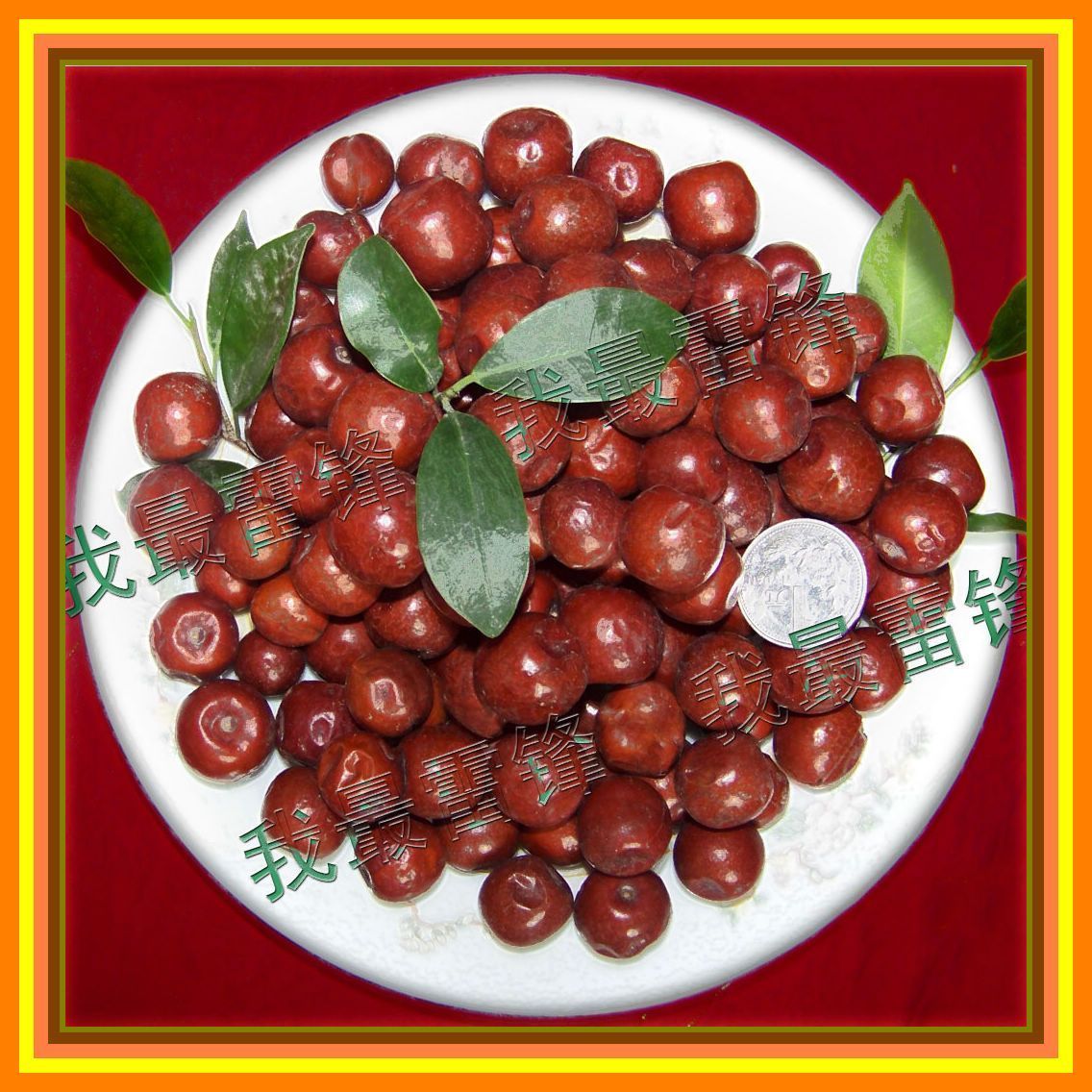 Xinjiang specialty Southern wild Jujube Sedative sleep aids 18 element /250 gramin the Snacks/Nuts/Specialty , Hickory/Nuts/Roasting , Other  category - from Buy2taobao.com to provide professional Taobao agent buy service