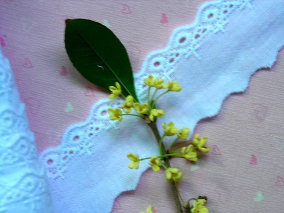 服装辅料花边 3CM棉布花边/30MM棉布花边/服装花边/手工花边,居家布艺,花边,淘宝优惠券,粉丝福利购,淘宝优惠卷