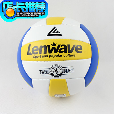Ballon de volley - Ref 2011794 Image 1