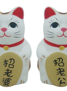 DIY 可写字的猫 招财猫/陶瓷/招老婆/招老公/一对 送女朋友的猫