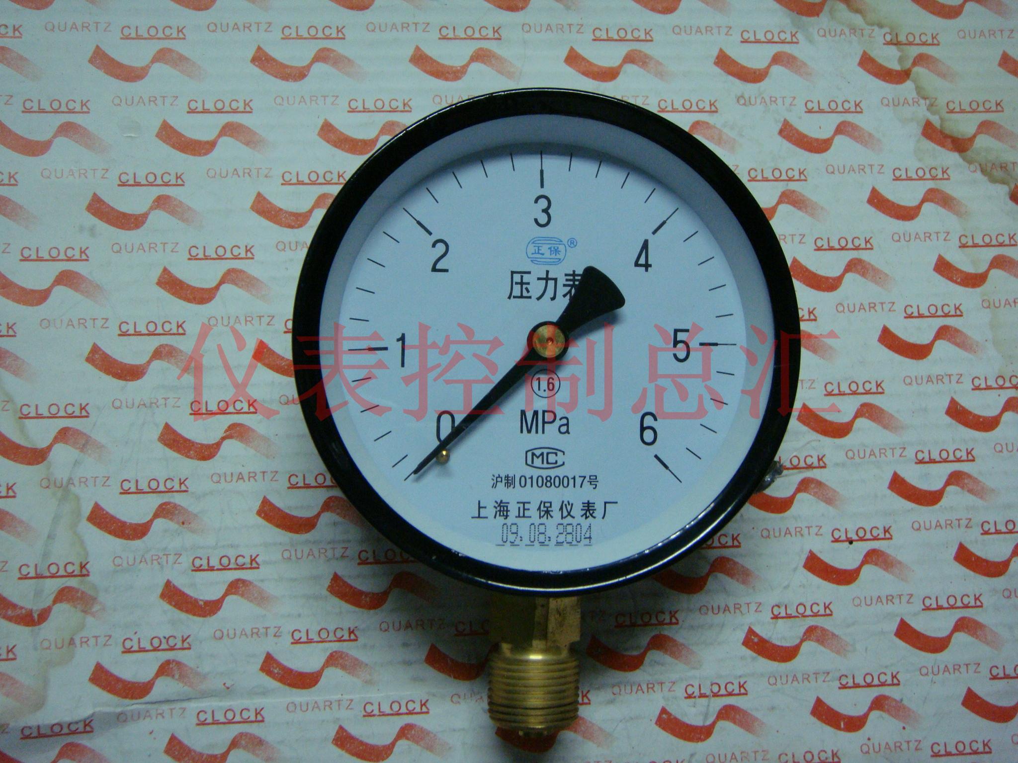 压力表上海正保仪表厂Y100 0-6MPA圧力表