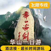 飞猪专线西安旅游华山一日游纯玩跟团游含门票索道西上北下纯玩