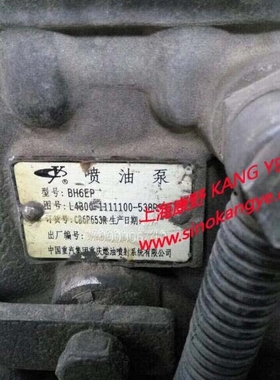 配重汽重庆喷油泵BH6EP L4300-1111100和L3B00-1111100A CB6P655A