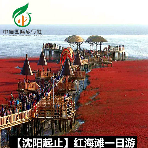 【沈阳起止】盘锦红海滩风景区 红海滩廊道1日游*下单咨询客服！