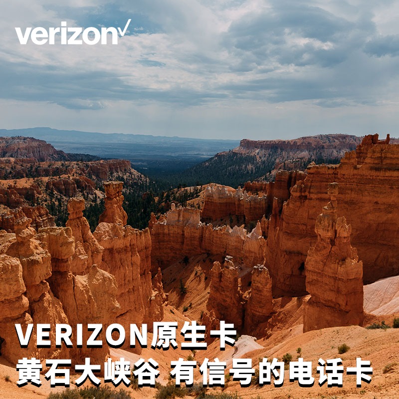 墨萨 美国Verizon原生卡美国电话卡上网卡10天15天可选2g无限流量 度假线路/签证送关/旅游服务 境外电话卡/手机卡 原图主图