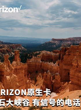 墨萨 美国Verizon原生卡美国电话卡上网卡10天15天可选2g无限流量