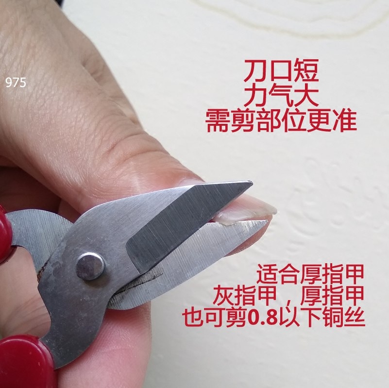 가정용 가위 스테인레스 스틸 큰 머리 975 먼 향 회색 손톱 매니큐어 성인 발가락 손톱 가위 도구 얇은 구리 시트를 자르는 도구