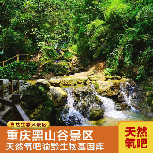 黑山谷一日游重庆万盛黑山谷休闲一日跟团旅游酒店接