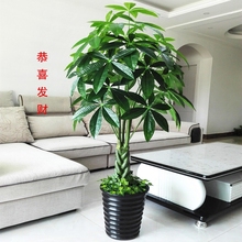 包邮仿真发财树植物假花客厅假树大型落地花艺塑料花盆景盆栽装饰
