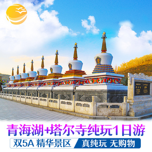 青海旅游西宁青海湖塔尔寺市区内上门接送