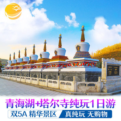 青海旅游西宁青海湖塔尔寺市区内上门接送