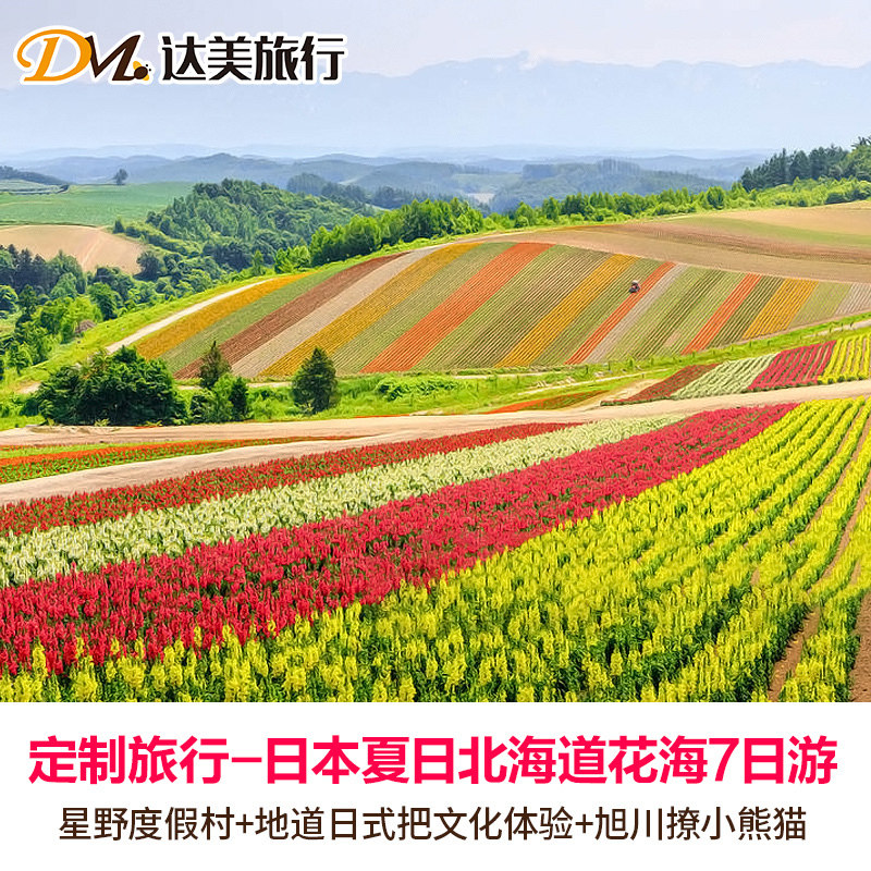 定制旅行日本北海道薰衣草花海漫步5-9日个性定制游