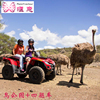 25【惬意旅遊】毛裏求斯鳥公園動物園四驅車