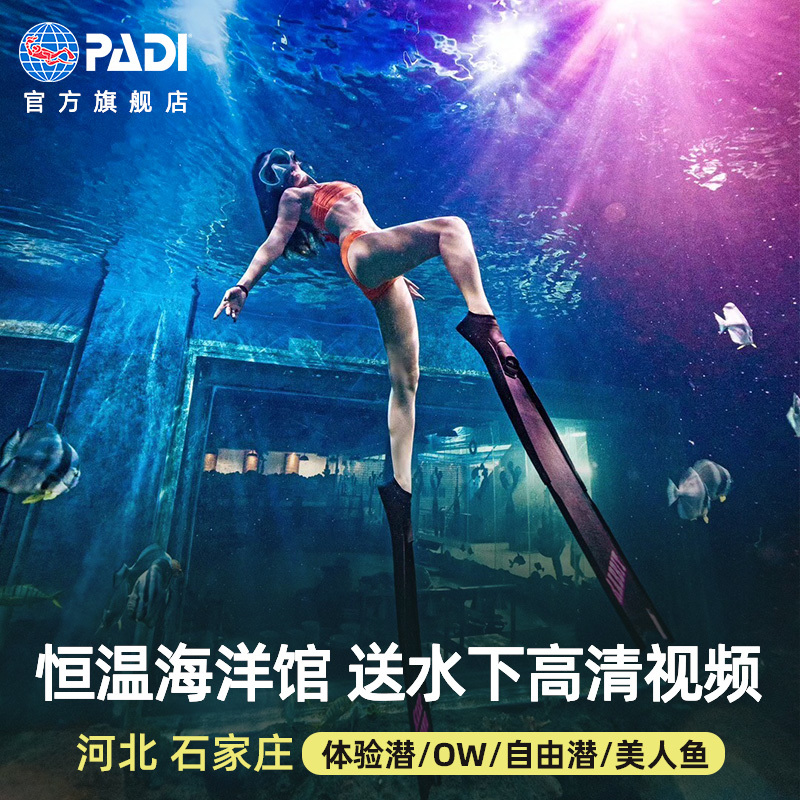 河北石家庄海洋公园PADI潜水考证体验潜水/自由潜/美人鱼水下拍摄