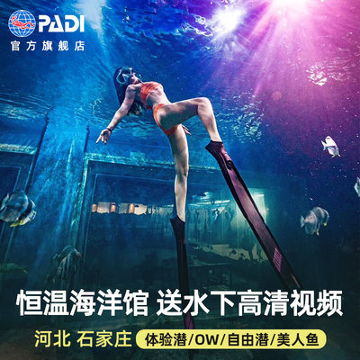 河北石家庄海洋公园PADI潜水考证体验潜水/自由潜/美人鱼水下拍摄