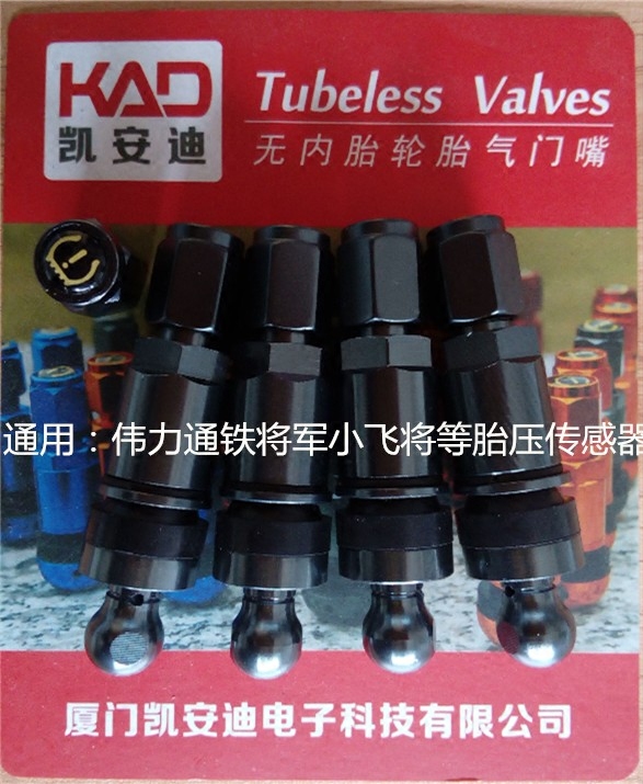 轮胎汽车胎压监测伟力通气嘴
