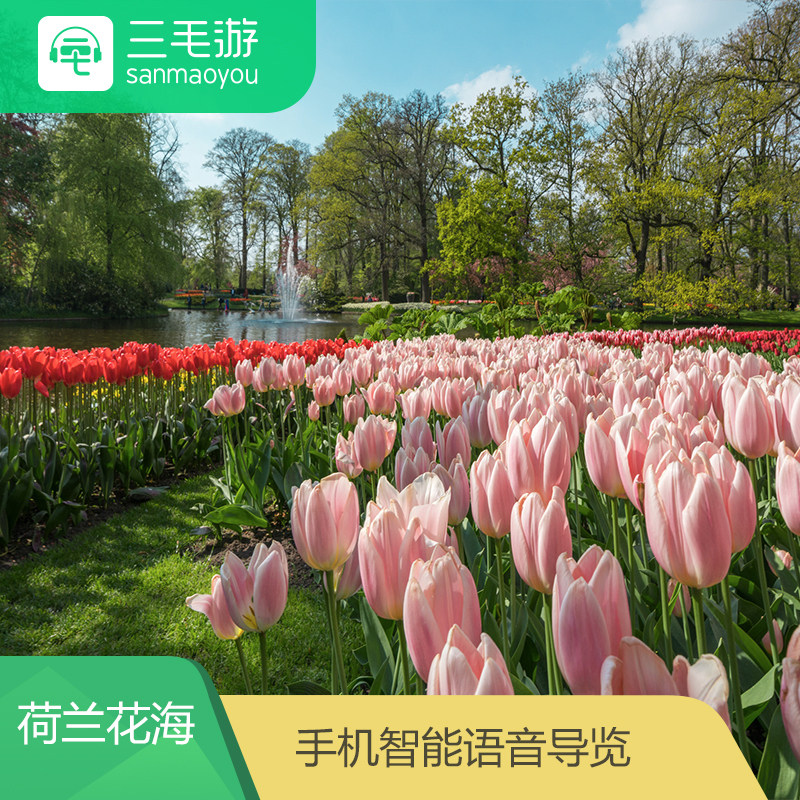 三毛游 江苏盐城荷兰花海 电子导览 智能语音讲解 手机景点讲解器|msdalam kategori tiket tarikan/persembahan secara langsung/Taman tema, 境内周边游, 境内玩乐单项 - dari Buy2taobao.com untuk memberikan perkhidmatan ejen Taobao profesional membeli