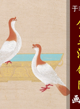 于非闇于照金盆浴鸽图高清国画花鸟临摹彩色画稿微喷画心仿古花鸟
