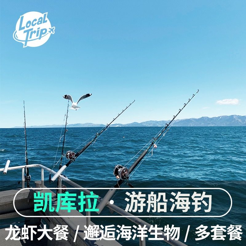 新西兰凯库拉海钓游船 出海抓龙虾盛宴海景海鸟偶遇海豚