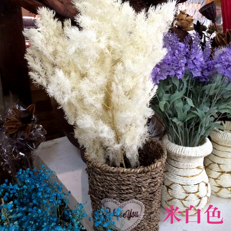 (用14元券)蓬莱松天然艺术干花花束配花永生配草家居室内摆设松树枝拍摄道具