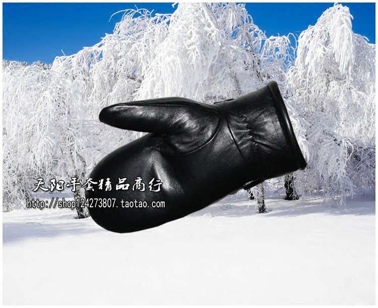 Gants pour homme        en peau de mouton - Ref 2781435 Image 4