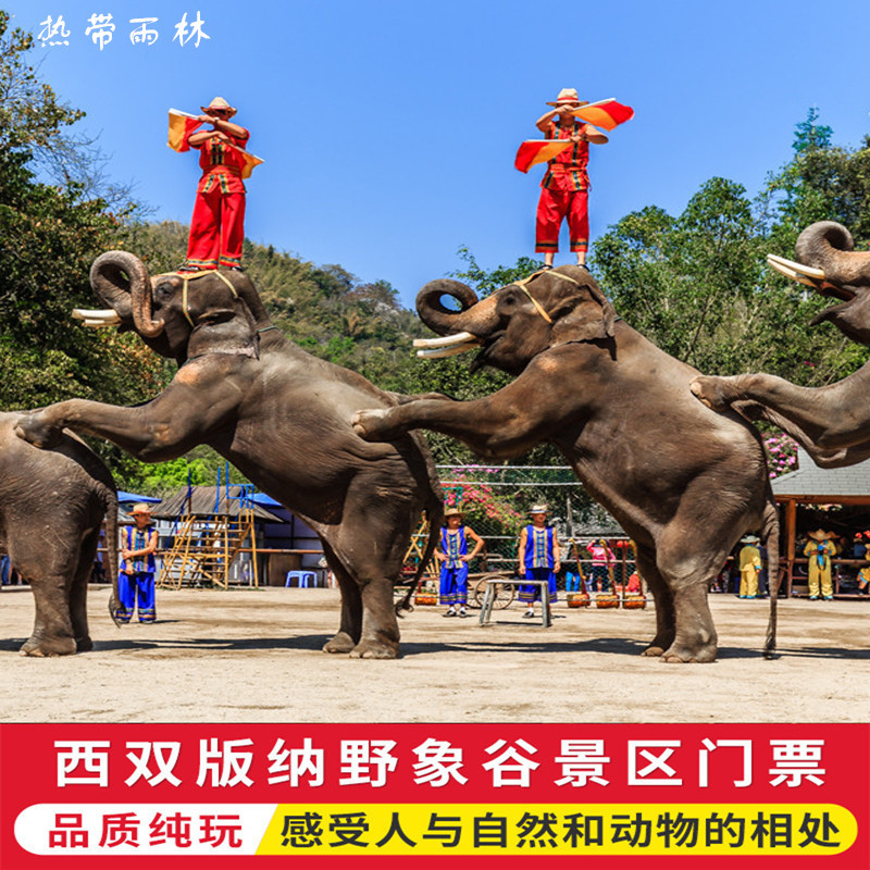 [野象谷景区-大门票]云南旅游西双版纳野象谷景点门票