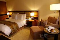 桃园尊爵天际大酒店 桃园尊爵天际大酒店预订 电话 地址 飞猪酒店