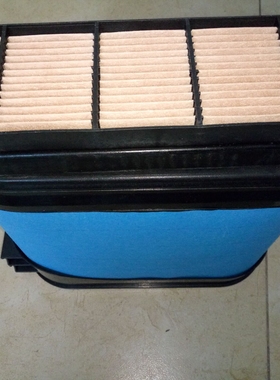 DONALDSON POWERCORE唐纳森蜂窝卷纸滤清器   p608675空气滤芯