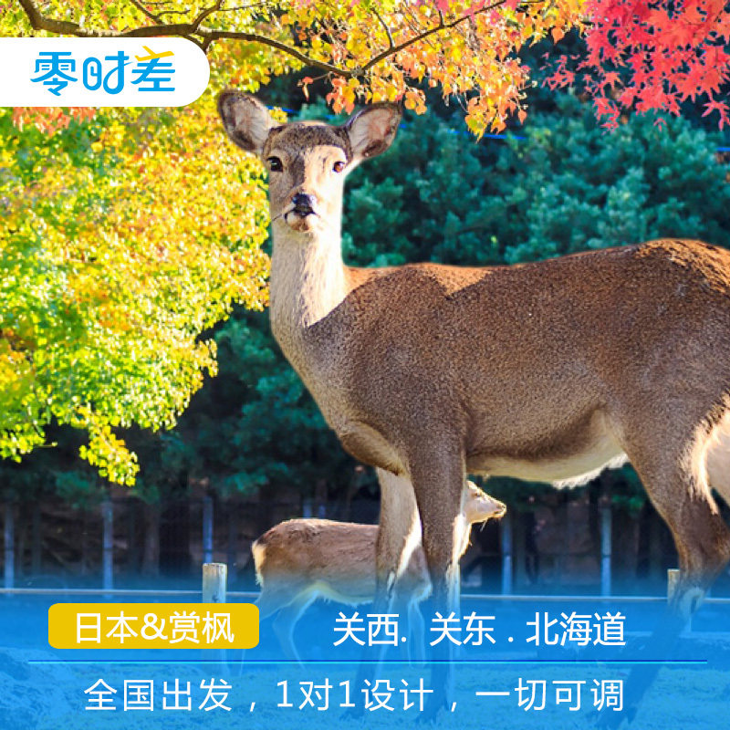 自由行日本亲子7天6晚 含机票日本签证+环球影城+奈良公园神鹿|ruв категории праздник линий/отправить закрыть визы/служба туризма, свободной линии/с Миссией плавать, свободу выезда строки - от Buy2taobao.com для оказания профессиональной услуги покупки агента Taobao