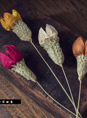 【紫薇花】自然原生态家居摆设