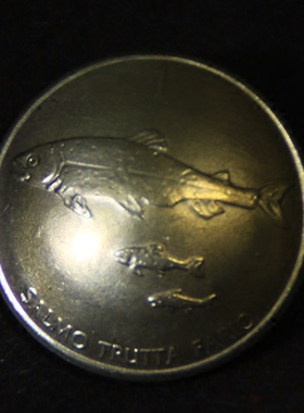 手工制作养牛 外国真硬币 财布扣 三条大小鱼 铜币约21mm D27一11