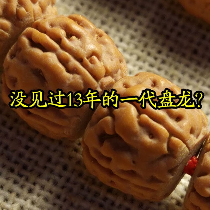 13年老一代盘龙纹藏式一代盘龙纹小金刚菩提子金黄皮一代盘龙纹男