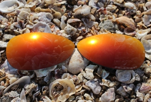 ACOMPATIBLE偏光替换镜片适用奥克利 Crosshair S (Small) OO4060