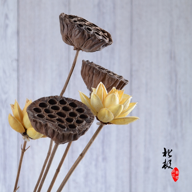 【莲蓬】干莲蓬干花原生态莲蓬摆设干花拍摄道具艺术造型真莲蓬