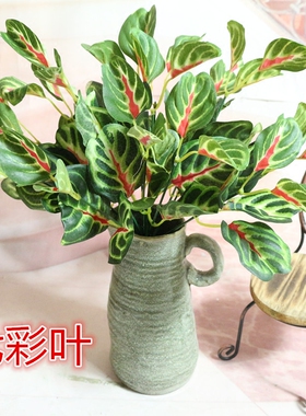 仿真植物墙人造草坪地毯假草皮塑料绿色装饰绿植墙仿真植物七彩叶