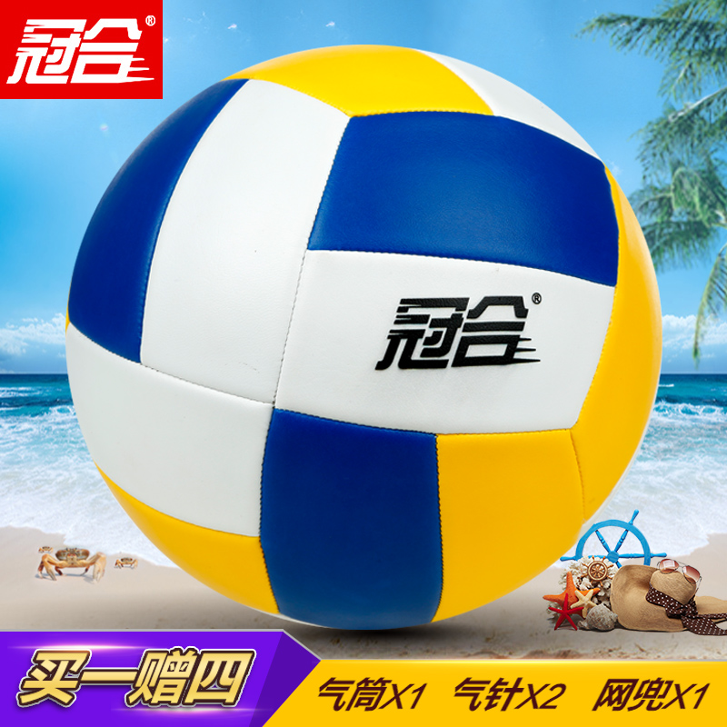 Ballon de volley - Ref 2012302 Image 3