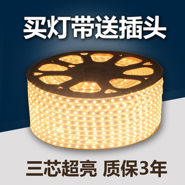 led灯带220V 5050/2835防水客厅高亮超亮七彩灯条彩色贴片软光带