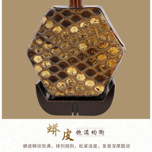 苏州灵岩二胡 初学者儿童胡琴教学入门民族乐器