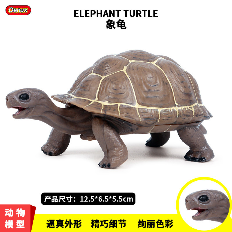 跨境仿真静态动物模型象龟乌龟陆仿真/动物玩偶